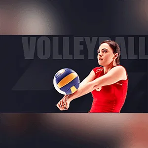 Volleyball